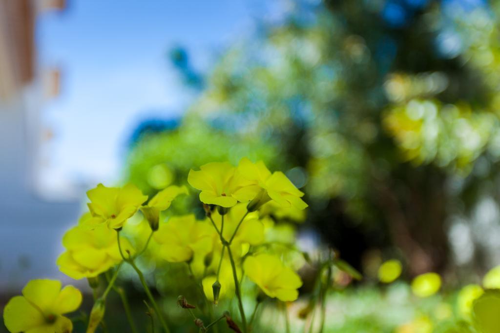 Villa Vista Anders Mar ラゴス エクステリア 写真